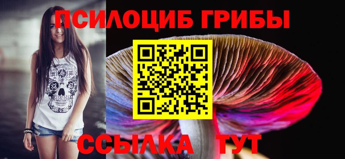 Псилоцибиновые грибы MAGIC MUSHROOMS Котовск