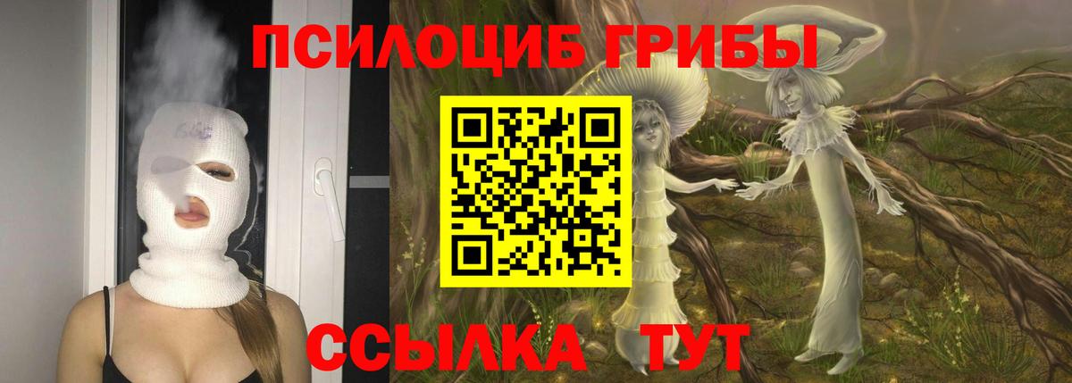 Галлюциногенные грибы Magic Shrooms  Галлюциногенные грибы Psilocybine cubensis  Вход с VPN  Котовск 